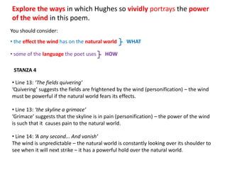 Explore the ways in which Hughes so vividly portrays the power
of the wind in this poem.
You should consider:
• the effect the wind has on the natural world    WHAT

• some of the language the poet uses     HOW

 STANZA 4

• Line 13: ‘The fields quivering’
‘Quivering’ suggests the fields are frightened by the wind (personification) – the wind
must be powerful if the natural world fears its effects.

• Line 13: ‘the skyline a grimace’
‘Grimace’ suggests that the skyline is in pain (personification) – the power of the wind
is such that it causes pain to the natural world.

• Line 14: ‘A any second... And vanish’
The wind is unpredictable – the natural world is constantly looking over its shoulder to
see when it will next strike – it has a powerful hold over the natural world.
 
