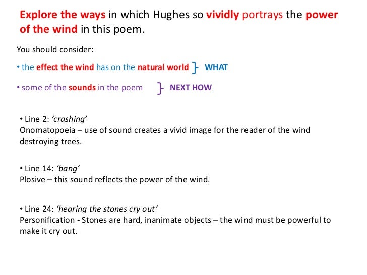 Thebes Essays