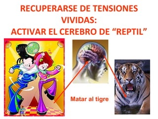 RECUPERARSE DE TENSIONES
           VIVIDAS:
ACTIVAR EL CEREBRO DE “REPTIL”




             Matar al tigre
 
