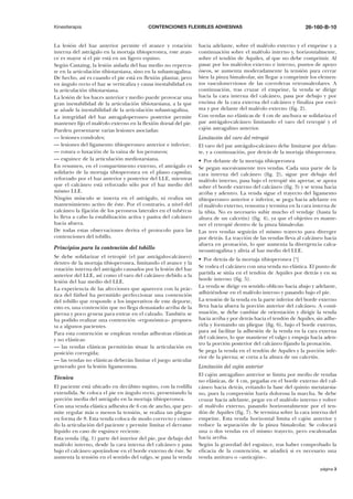 Kinesiterapia

CONTENCIONES FLEXIBLES ADHESIVAS

La lesión del haz anterior permite el avance y rotación
interna del astrágalo en la mortaja tibioperonea, este avance es mayor si el pie está en un ligero equino.
Según Castaing, la lesión aislada del haz medio no repercute en la articulación tibiotarsiana, sino en la subastragalina.
De hecho, así es cuando el pie está en flexión plantar, pero
en ángulo recto el haz se verticaliza y causa inestabilidad en
la articulación tibiotarsiana.
La lesión de los haces anterior y medio puede provocar una
gran inestabilidad de la articulación tibiotarsiana, a la que
se añade la inestabilidad de la articulación subastragalina.
La integridad del haz astragaloperoneo posterior permite
mantener fijo el maléolo externo en la flexión dorsal del pie.
Pueden presentarse varias lesiones asociadas:
— lesiones condrales;
— lesiones del ligamento tibioperoneo anterior e inferior;
— rotura o luxación de la vaina de los peroneos;
— esguince de la articulación mediotarsiana.
En resumen, en el compartimento externo, el astrágalo es
solidario de la mortaja tibioperonea en el plano capsular,
reforzado por el haz anterior y posterior del LLE, mientras
que el calcáneo está reforzado sólo por el haz medio del
mismo LLE.
Ningún músculo se inserta en el astrágalo, ni realiza un
mantenimiento activo de éste. Por el contrario, a nivel del
calcáneo la fijación de los peroneos laterales en el tubérculo lleva a cabo la estabilización activa y pasiva del calcáneo
hacia afuera.
De todas estas observaciones deriva el protocolo para las
contenciones del tobillo.
Principios para la contención del tobillo
Se debe solidarizar el retropié (el par astrágalo-calcáneo)
dentro de la mortaja tibioperonea, limitando el avance y la
rotación interna del astrágalo causados por la lesión del haz
anterior del LLE, así como el varo del calcáneo debido a la
lesión del haz medio del LLE.
La experiencia de las afecciones que aparecen con la práctica del fútbol ha permitido perfeccionar una contención
del tobillo que responde a los imperativos de este deporte,
esto es, una contención que no llega demasiado arriba de la
pierna y poco gruesa para entrar en el calzado. También se
ha podido realizar una contención «ergonómica» propuesta a algunos pacientes.
Para esta contención se emplean vendas adhesivas elásticas
y no elásticas:
— las vendas elásticas permitirán situar la articulación en
posición corregida;
— las vendas no elásticas deberán limitar el juego articular
generado por la lesión ligamentosa.
Técnica
El paciente está ubicado en decúbito supino, con la rodilla
extendida. Se coloca el pie en ángulo recto, presentando la
porción media del astrágalo en la mortaja tibioperonea.
Con una venda elástica adhesiva de 6 cm de ancho, que permite regular más o menos la tensión, se realiza un pliegue
en forma de 8. Esta venda coloca de modo correcto y cómodo la articulación del paciente y permite limitar el derrame
líquido en caso de esguince reciente.
Esta venda (fig. 1) parte del interior del pie, por debajo del
maléolo interno, desde la cara interna del calcáneo y pasa
bajo el calcáneo apoyándose en el borde externo de éste. Se
aumenta la tensión en el sentido del valgo, se pasa la venda

26-160-B-10

hacia adelante, sobre el maléolo externo y el empeine y a
continuación sobre el maléolo interno y, horizontalmente,
sobre el tendón de Aquiles, al que no debe comprimir. Al
pasar por los maléolos externo e interno, puntos de apoyo
óseos, se aumenta moderadamente la tensión para cerrar
bien la pinza bimaleolar, sin llegar a comprimir los elementos vasculonerviosos de las correderas retromaleolares. A
continuación, tras cruzar el empeine, la venda se dirige
hacia la cara interna del calcáneo, pasa por debajo y por
encima de la cara externa del calcáneo y finaliza por encima y por delante del maléolo externo (fig. 2).
Con vendas no elásticas de 4 cm de anchura se solidariza el
par astrágalo-calcáneo limitando el varo del retropié y el
cajón astragalino anterior.
Limitación del varo del retropié
El varo del par astrágalo-calcáneo debe limitarse por delante, y a continuación, por detrás de la mortaja tibioperonea.
• Por delante de la mortaja tibioperonea
Se pegan sucesivamente tres vendas. Cada una parte de la
cara interna del calcáneo (fig. 2), sigue por debajo del
maléolo interno, pasa bajo el retropié sin apretar, se apoya
sobre el borde externo del calcáneo (fig. 3) y se tensa hacia
arriba y adentro. La venda sigue el trayecto del ligamento
tibioperoneo anterior e inferior, se pega hacia adelante en
el maléolo externo, remonta y termina en la cara interna de
la tibia. No es necesario subir mucho el vendaje (hasta la
altura de un calcetín) (fig. 4), ya que el objetivo es mantener el retropié dentro de la pinza bimaleolar.
Las tres vendas seguirán el mismo trayecto para diverger
por detrás. La tracción de las vendas lleva al calcáneo hacia
afuera en pronación, lo que aumenta la divergencia calcaneoastragalina y alivia al haz medio del LLE.
• Por detrás de la mortaja tibioperonea [9]
Se rodea el calcáneo con una venda no elástica. El punto de
partida se sitúa en el tendón de Aquiles por detrás y en su
borde interno (fig. 5).
La venda se dirige en sentido oblicuo hacia abajo y adelante,
adhiriéndose en el maléolo interno y pasando bajo el pie.
La tensión de la venda en la parte inferior del borde externo
lleva hacia afuera la porción anterior del calcáneo. A continuación, se debe cambiar de orientación y dirigir la venda
hacia arriba y por detrás hacia el tendón de Aquiles, sin adherirla y formando un pliegue (fig. 6), bajo el borde externo,
para así facilitar la adhesión de la venda en la cara externa
del calcáneo, lo que mantiene el valgo y empuja hacia adentro la porción posterior del calcáneo fijando la pronación.
Se pega la venda en el tendón de Aquiles y la porción inferior de la pierna; se corta a la altura de un calcetín.
Limitación del cajón anterior
El cajón astragalino anterior se limita por medio de vendas
no elásticas, de 4 cm, pegadas en el borde externo del calcáneo hacia detrás, evitando la base del quinto metatarsiano, pues la compresión haría dolorosa la marcha. Se debe
cruzar hacia adelante, pegar en el maléolo interno y volver
al maléolo externo, pasando horizontalmente por el tendón de Aquiles (fig. 7). Se termina sobre la cara interna del
empeine. Esta venda horizontal limita el cajón anterior y
reduce la separación de la pinza bimaleolar. Se colocará
una o dos vendas en el mismo trayecto, pero escalonadas
hacia arriba.
Según la gravedad del esguince, tras haber comprobado la
eficacia de la contención, se añadirá si es necesario una
venda antivaro o «anticajón».
página 3

 