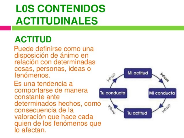 Contenido