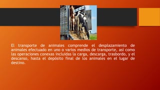 El transporte de animales comprende el desplazamiento de
animales efectuado en uno o varios medios de transporte, así como...