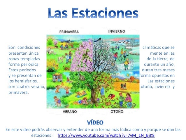 Contenido de la guia