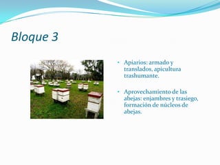 Alimentación de las abejas: natural y artificial.Bloque 3Apiarios: armado y translados, apicultura trashumante.