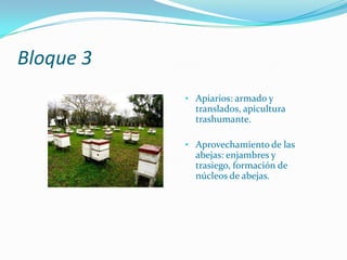 Alimentación de las abejas: natural y artificial.Bloque 3Apiarios: armado y translados, apicultura trashumante.