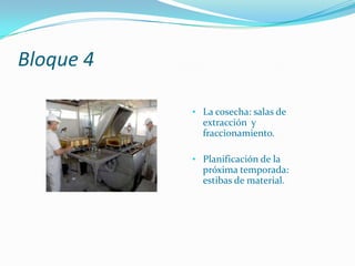 Aprovechamiento de las abejas: enjambres y trasiego, formación de núcleos de abejas.Bloque 4La cosecha: salas de extracción y fraccionamiento.