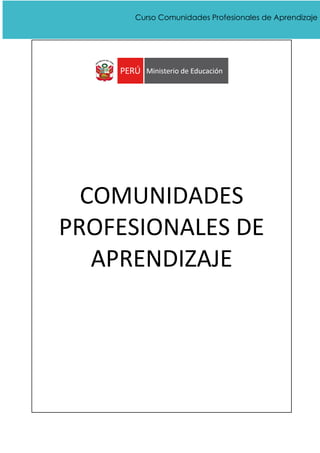 Curso Comunidades Profesionales de Aprendizaje
COMUNIDADES
PROFESIONALES DE
APRENDIZAJE
 