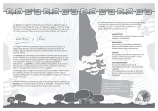 En nuestro territorio se realizaron 35 colecciones de hongos de los
 Los líquenes son organismos formados por la unión de un alga y un hongo. El          cuales los más visibles fueron los representados en forma de
 alga proporciona al hongo alimento, y el hongo se encarga de suministrar al alga     sombrillita a las que se les llaman setas y pertenecen a cuatro
 el agua y los minerales que necesita. A lo mejor no te has fijado, pero seguro que   grupos diferentes de acuerdo con su uso:
 has visto muchas veces líquenes en la corteza de los árboles o sobre las rocas.
                                                                                                         ALIMENTICIOS
                                                                                                         Se utilizan para el consumo humano como las

     beneficios y danos                                                                                  orellanas y champiñones.

                                                                                                         MEDICINALES
                                                                                                         Son los que nos sirven para contrarrestar
 Los hongos resultan muy beneficiosos para los seres humanos. Algunos se                                 algunas enfermedades, además de ellos se
 utilizan como alimento, como los champiñones y muchas otras setas. Sin                                  pueden obtener algún medicamento.
 embargo, algunas setas son venenosas y pueden producir trastornos graves o
 incluso la muerte.                                                                                      TÓXICOS
                                                                                                         Son aquellos que producen malestar en el ser
 Las levaduras son unos hongos que se utilizan en la fabricación del pan y de la
                                                                                                         humano cuando son consumidos e incluso
 cerveza. También se usan hongos en la elaboración de algunos quesos. El color y
                                                                                                         pueden producir la muerte.
 el sabor característicos del queso Roquefort se deben al hongo que se emplea
 en su elaboración. Además, los hongos se han utilizado para obtener
                                                                                                         DESCOMPONEDORES
 medicamentos. La penicilina, el primer antibiótico descubierto, es un producto
                                                                                                         Son los que aceleran el proceso de
 fabricado por un hongo. Hay que recordar también la importante labor que
                                                                                                         desintegración de arboles u otros materiales
 realizan los hongos al descomponer la materia orgánica.
                                                                                                         vegetales.
 Sin embargo, algunos hongos son parásitos, y ocasionan daños y enfermedades                             Pinta y dibuja algunos hongos de diferentes
 en las plantas, afectando de manera importante a algunos cultivos. Algunos                              formas y colores que hayas encontrado en el
 hongos pueden producir en las personas enfermedades en la piel, que reciben el                          Resguardo.
 nombre de micosis.

 En nuestro territorio se realizaron 35 colecciones de hongos de los cuales los más
 visibles fueron los representados en forma de sombrillita a las que se les llaman           Dibuja y pinta algunos
 setas y pertenecen a cuatro grupos diferentes de acuerdo con su uso:                        hongos de diferentes formas
                                                                                             y colores que hayas
                                                                                             encontrado en el Resguardo.



34                                                                                                                                                          35
 