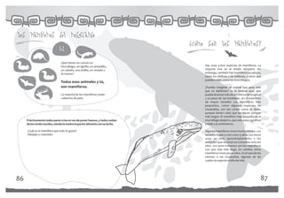 los mamiferos del resguardo
                                                                                ¿como son los mamiferos?
                               tu
                                ¿Qué tienen en común un
                                murciélago, un tigrillo, un armadillo,               Hay unas 4.600 especies de mamíferos. La
                                un caballo, una ardilla, un venado y                 mayoría vive en el medio terrestre. Sin
                                tú mismo?                                            embargo, también hay mamíferos acuáticos,
                                                                                     como los delfines y las ballenas, y otros que
                                                                                     pueden volar, como los murciélagos.
                                Todos esos animales y tú,
                                son mamíferos.                                       ¿Puedes imaginar un animal que pese más
                                                                                     que 20 elefantes? Es la ballena azul, que
                                La mayoría de los mamíferos están                    puede alcanzar más de 30 metros de longitud
                                cubiertos de pelo.                                   y un peso de 130 toneladas. ¡Es el mamífero
                                                                                     de mayor tamaño! Los mamíferos más
                                                                                     pequeños, como algunas especies de
                                                                                     musarañas, son tan cortos como tu dedo,
                                                                                     aunque tienen colas que les hacen parecer
                                                                                     más largos. El mamífero más pequeño es el
     Prácticamente todos paren crías en vez de poner huevos, y todos cuidan          murciélago abejorro, que solo pesa 2 gramos
     de los recién nacidos, siendo la madre la que los alimenta con su leche.        y mide 2,9 centímetros.

     ¿Cuál es el mamífero que más te gusta?                                          Algunos mamíferos viven mucho tiempo. Los
     Dibújalo y coloréalo.                                                           venados llegan a vivir unos 15 años; los micos
                                                                                     unos 30 años aproximadamente, y los
                                                                                     elefantes que no viven en Colombia unos 60
                                                                                     años. Los seres humanos son los mamíferos
                                                                                     con una vida más larga. En cambio, otros
                                                                                     mamíferos viven pocos años. Es el caso de los
                                                                                     ratones o las musarañas, algunas de las
                                                                                     cuales no superan el año de vida.




86                                                                                                                                87
 