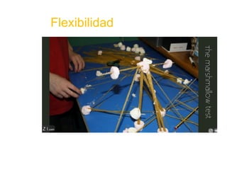 Flexibilidad
 