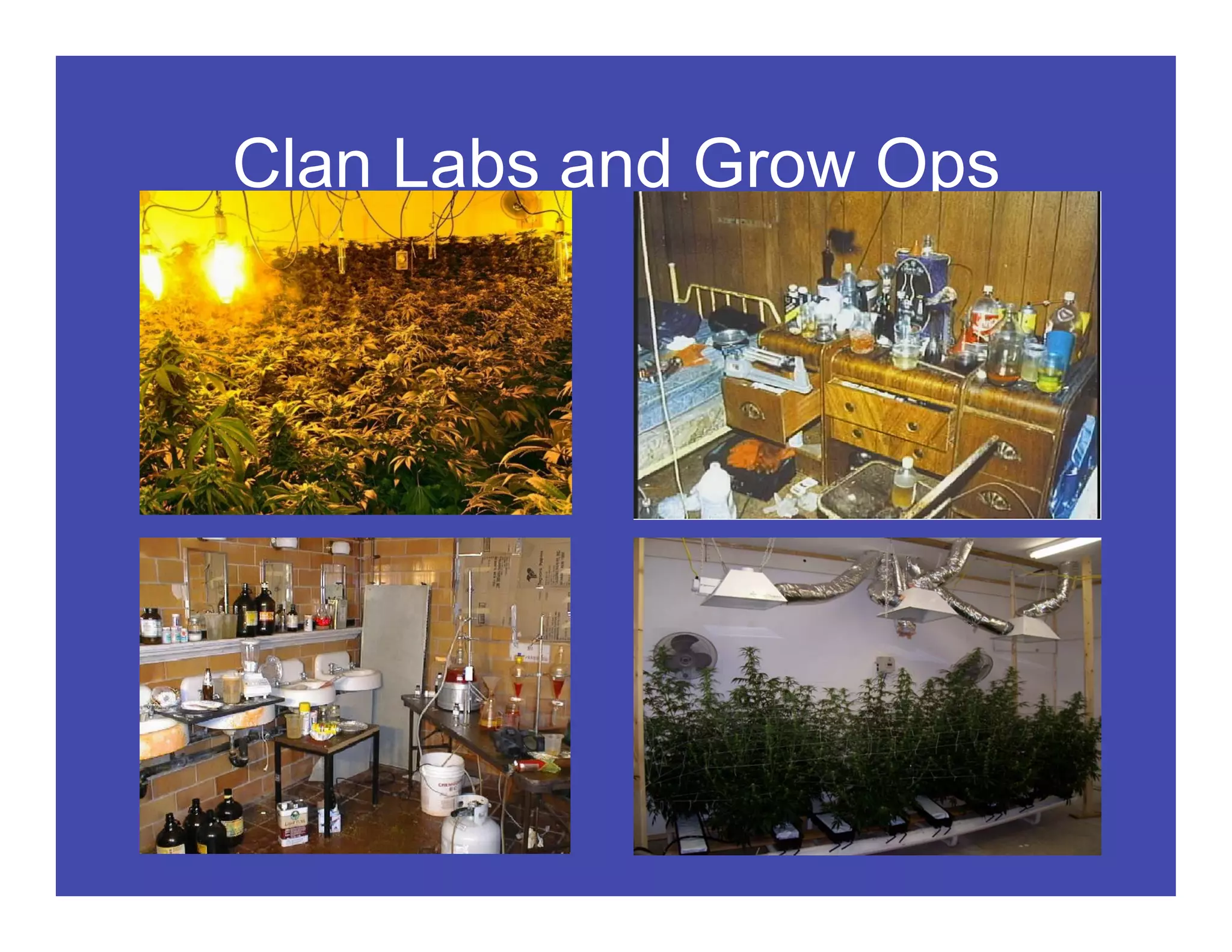 Clan Labs and Grow Ops
 
