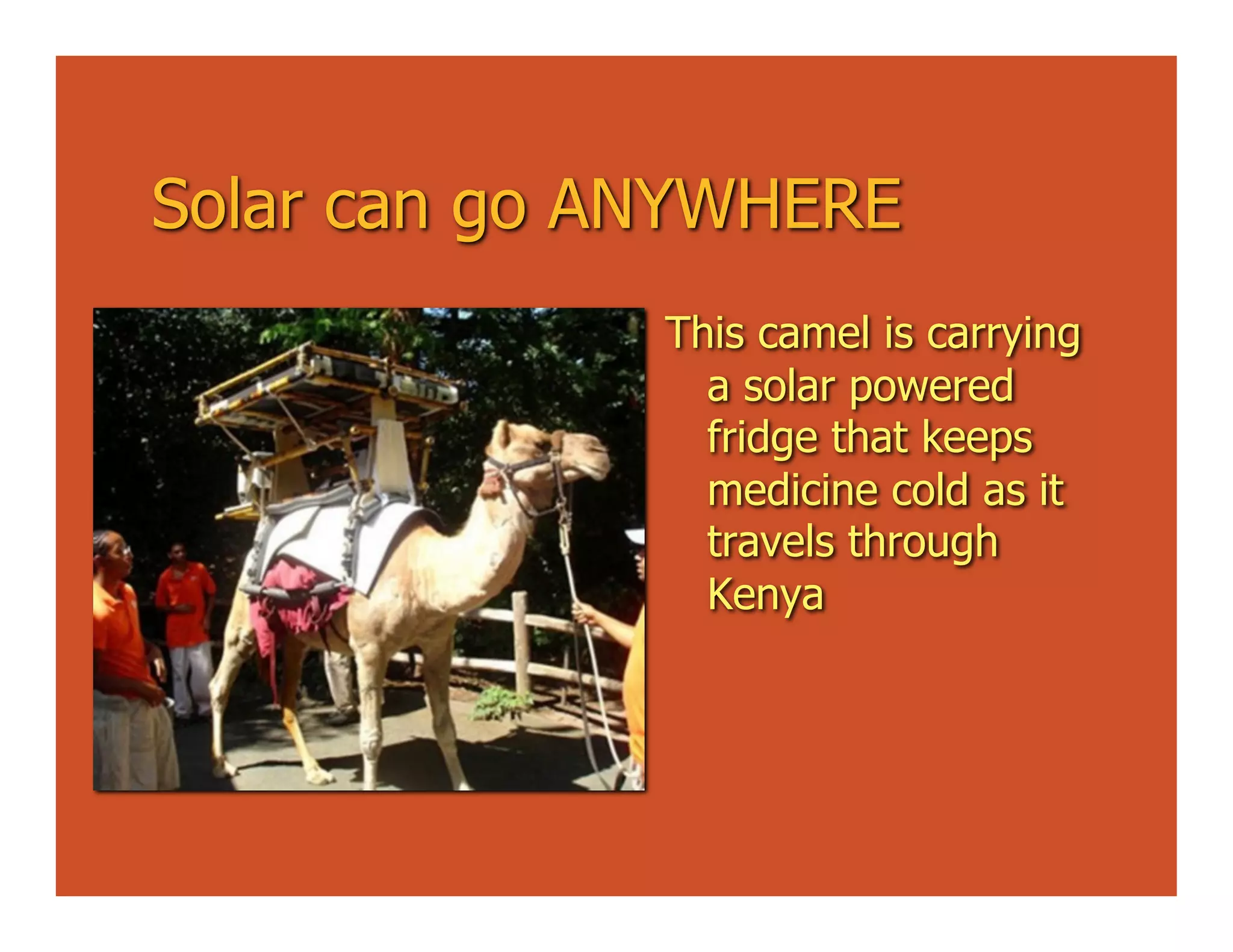 Solar can go ANYWHERE
              This camel is carrying
                a solar powered
                fridge that keeps
                medicine cold as it
                travels through
                Kenya
 