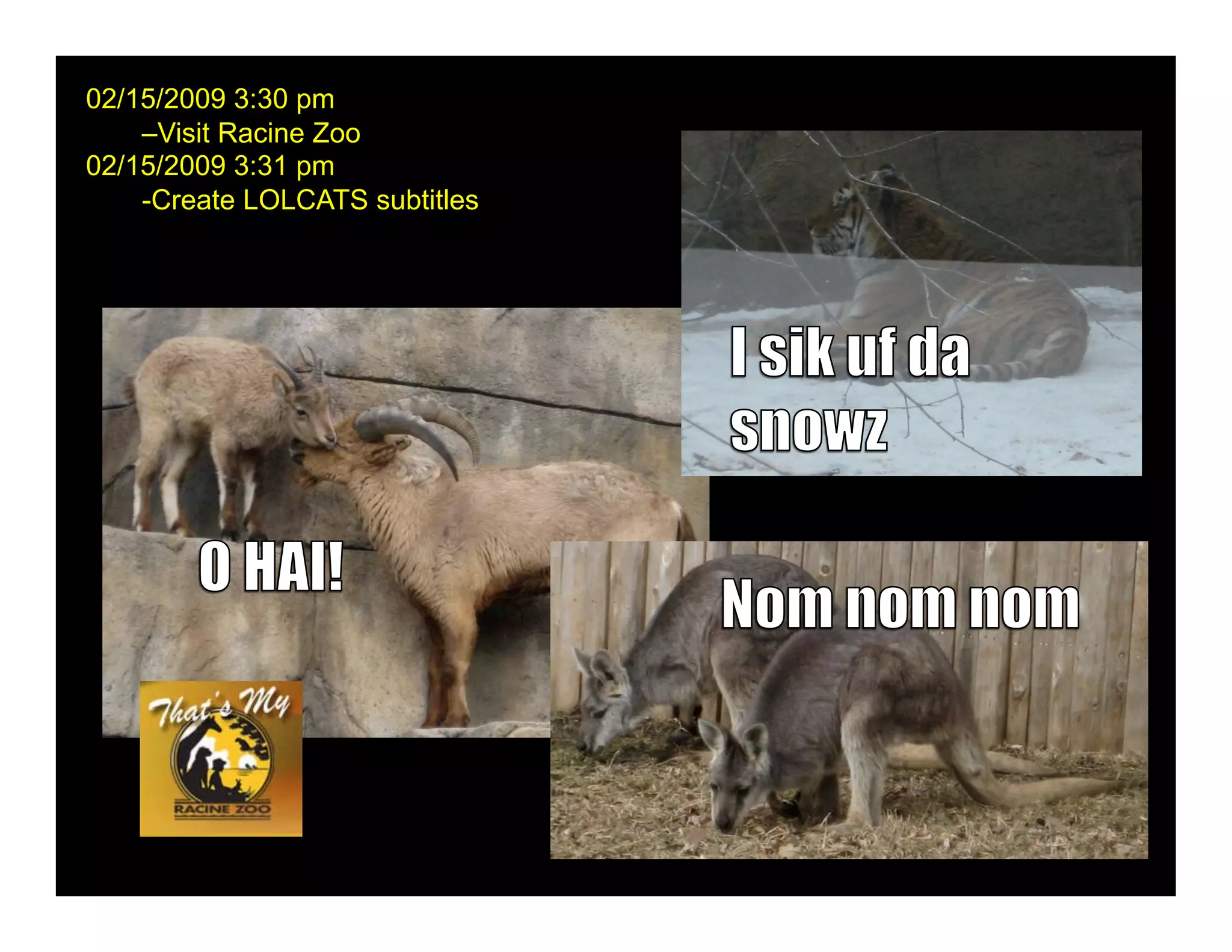 02/15/2009 3:30 pm
    –Visit Racine Zoo
02/15/2009 3:31 pm
    -Create LOLCATS subtitles
 