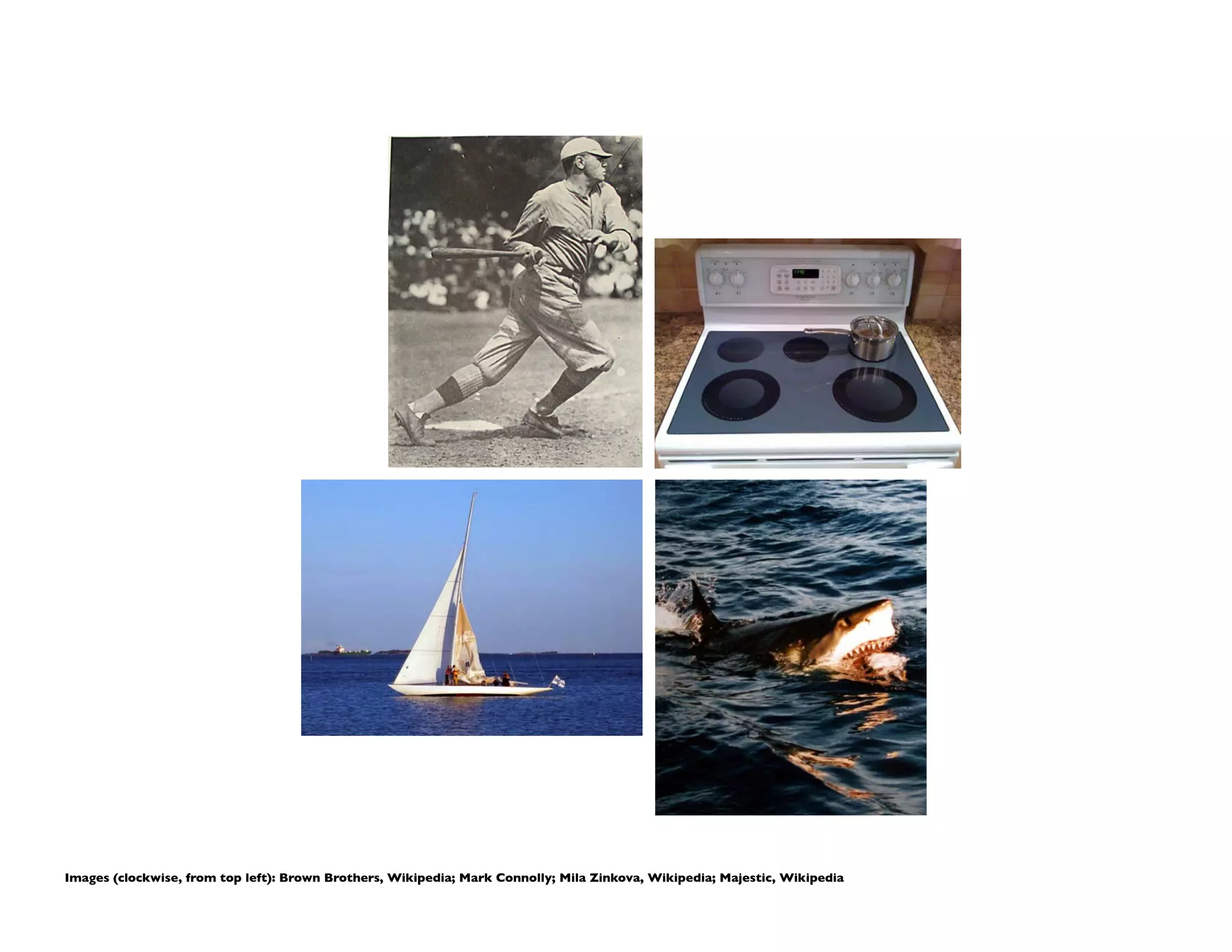 Images (clockwise, from top left): Brown Brothers, Wikipedia; Mark Connolly; Mila Zinkova, Wikipedia; Majestic, Wikipedia	

 