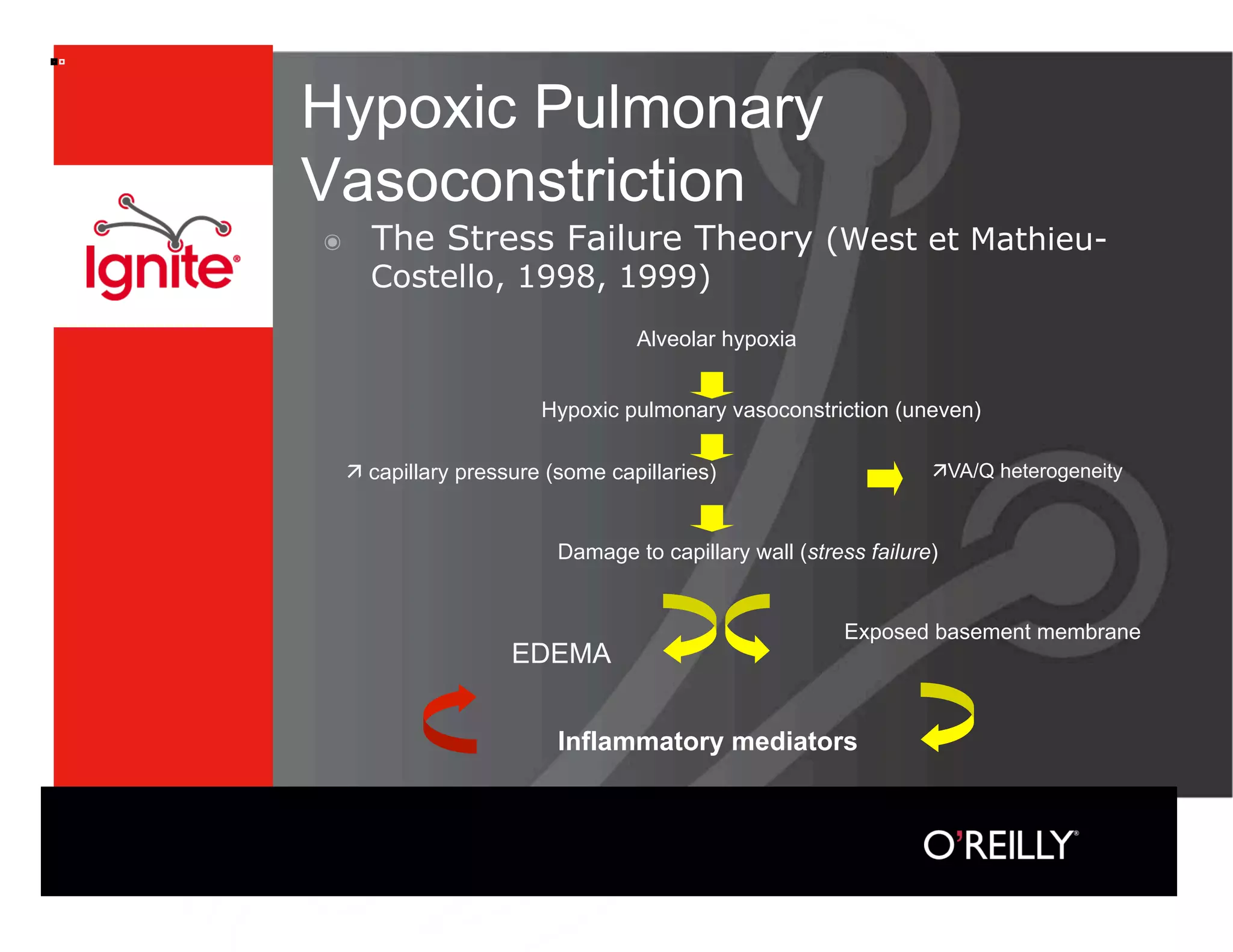 Hypoxic Pulmonary
Vasoconstriction
๏    The Stress Failure Theory (West et Mathieu-
     Costello, 1998, 1999)
                               Alveolar hypoxia


                     Hypoxic pulmonary vasoconstriction (uneven)

  capillary pressure (some capillaries)                        VA/Q heterogeneity



                       Damage to capillary wall (stress failure)


                                                     Exposed basement membrane
                  EDEMA


                       Inflammatory mediators
 