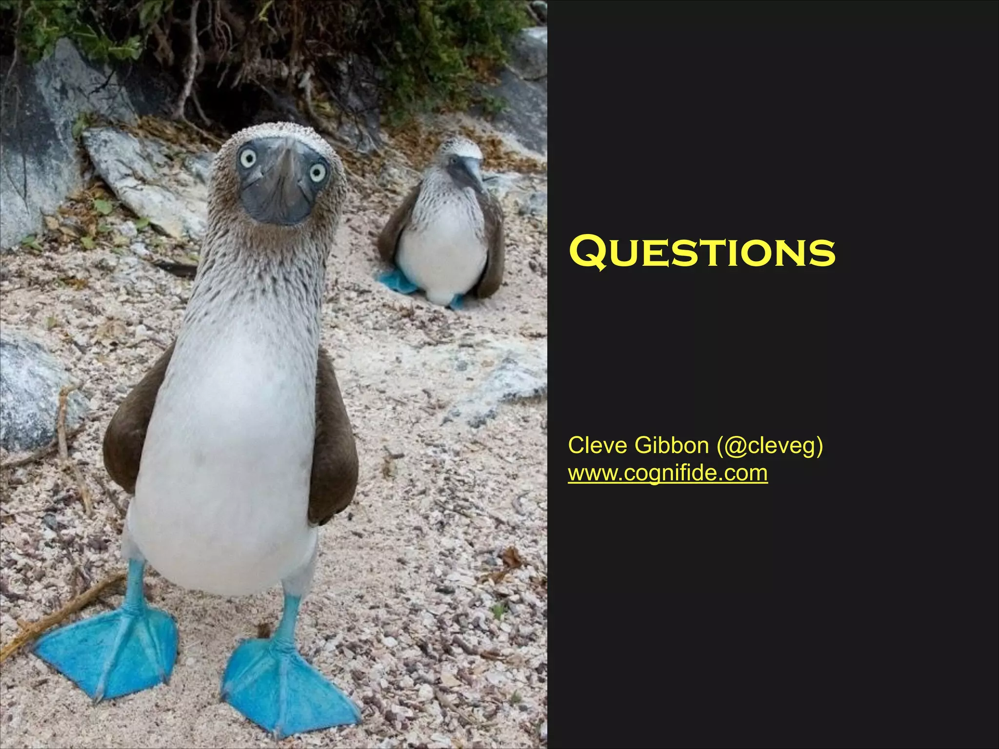 Questions
!
!
!
Cleve Gibbon (@cleveg)
www.cognifide.com

 