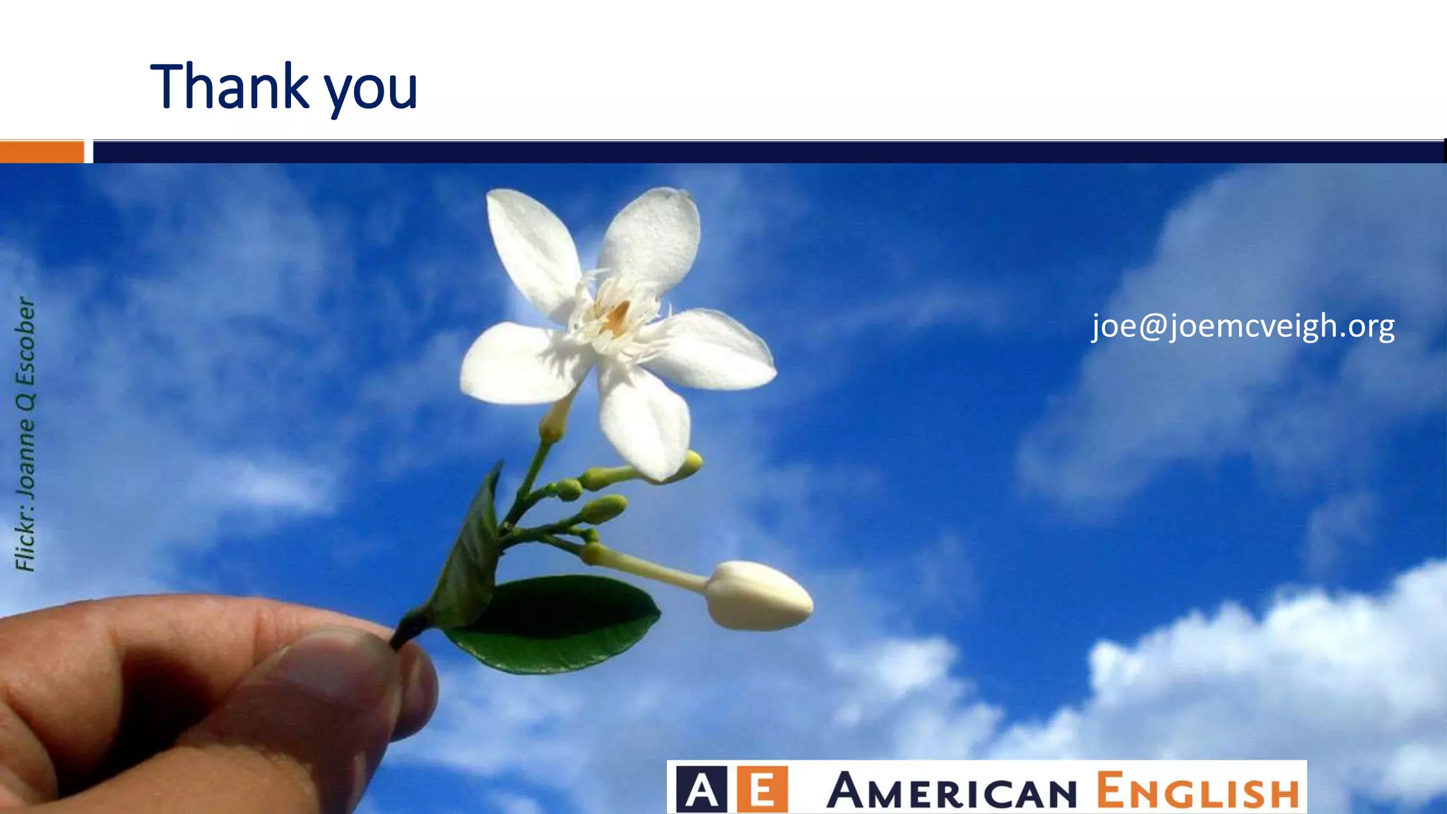 Thank you
joe@joemcveigh.org
 