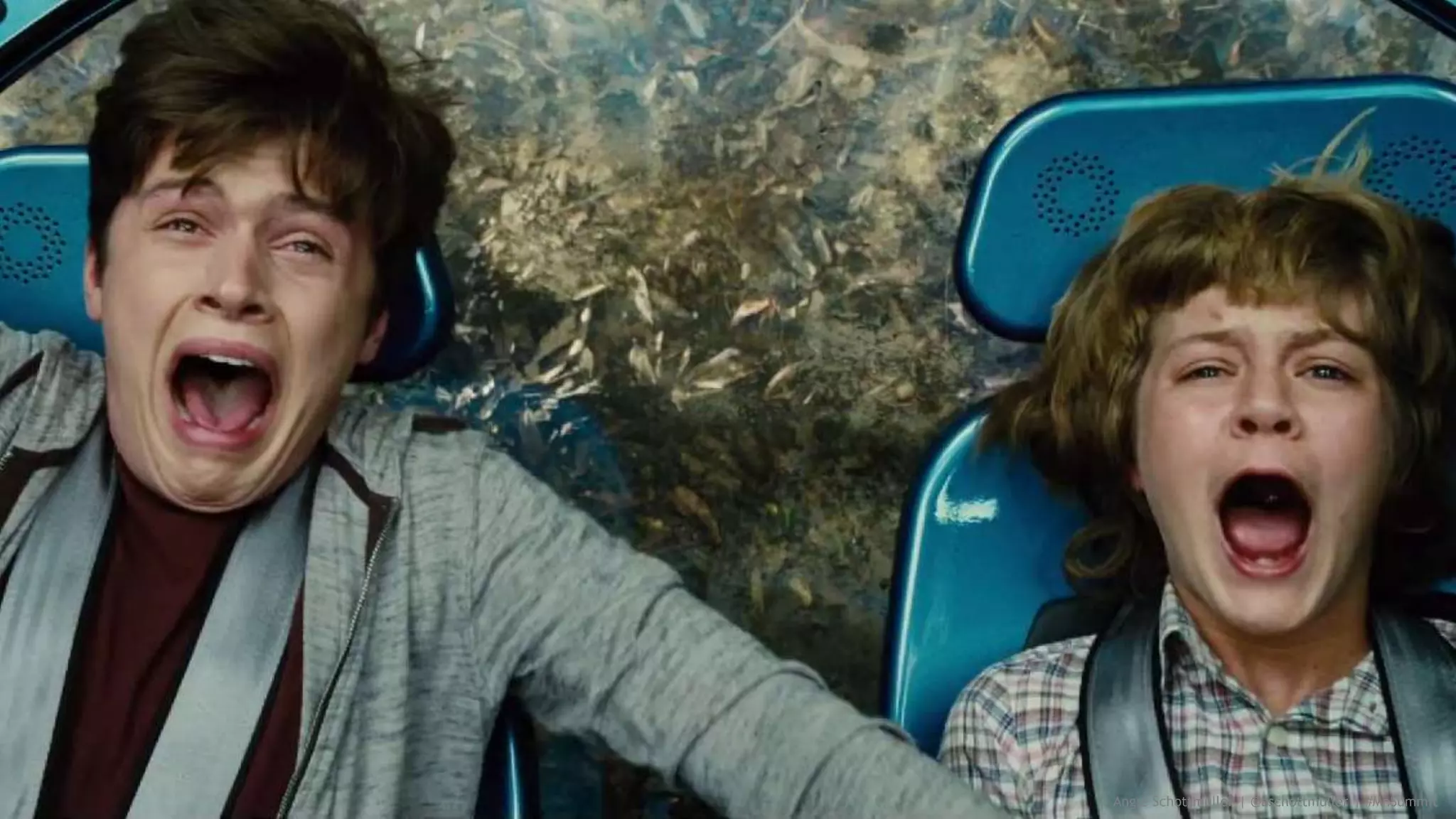 Angie Schottmuller | @aschottmuller | #MnSummit
 