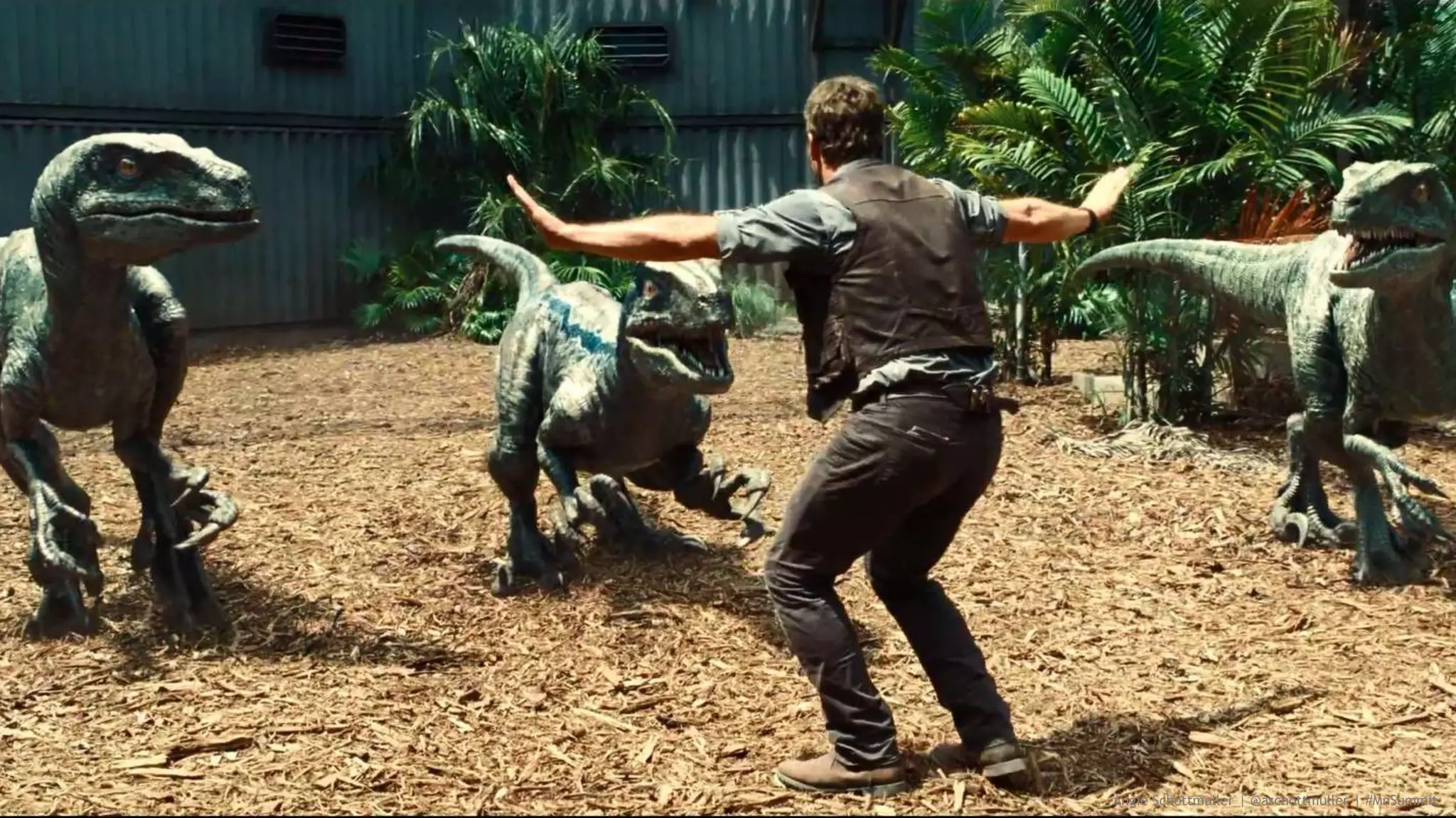 Angie Schottmuller | @aschottmuller | #MnSummit
 