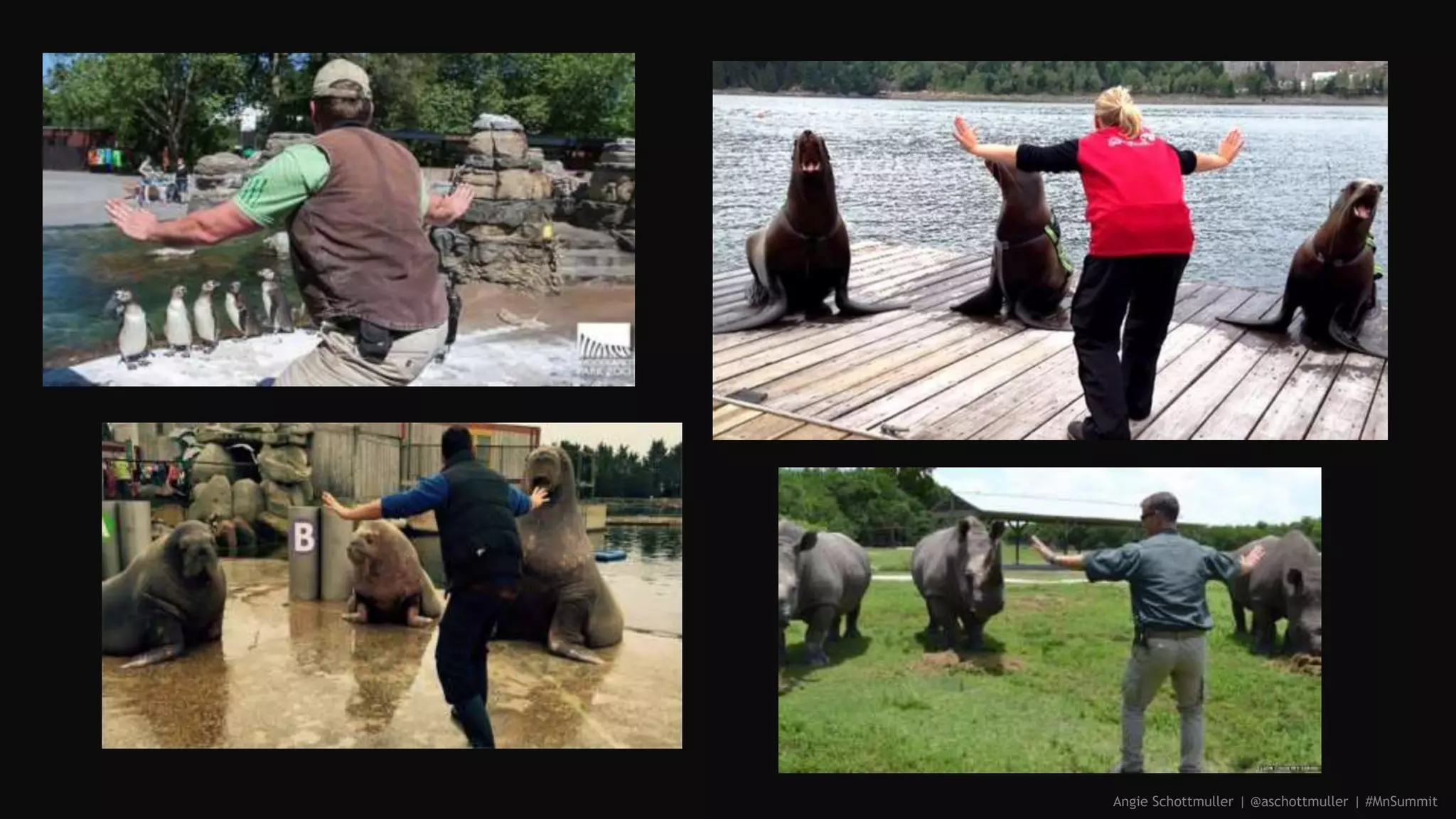 Angie Schottmuller | @aschottmuller | #MnSummit
 