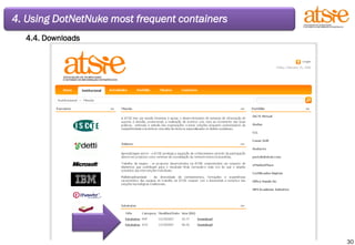 4. Using DotNetNuke most frequent containers 4.4. Downloads 