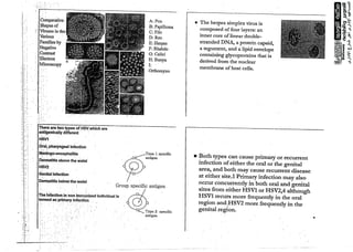 ulcer