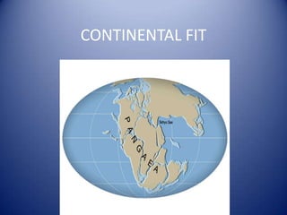 CONTINENTAL FIT 