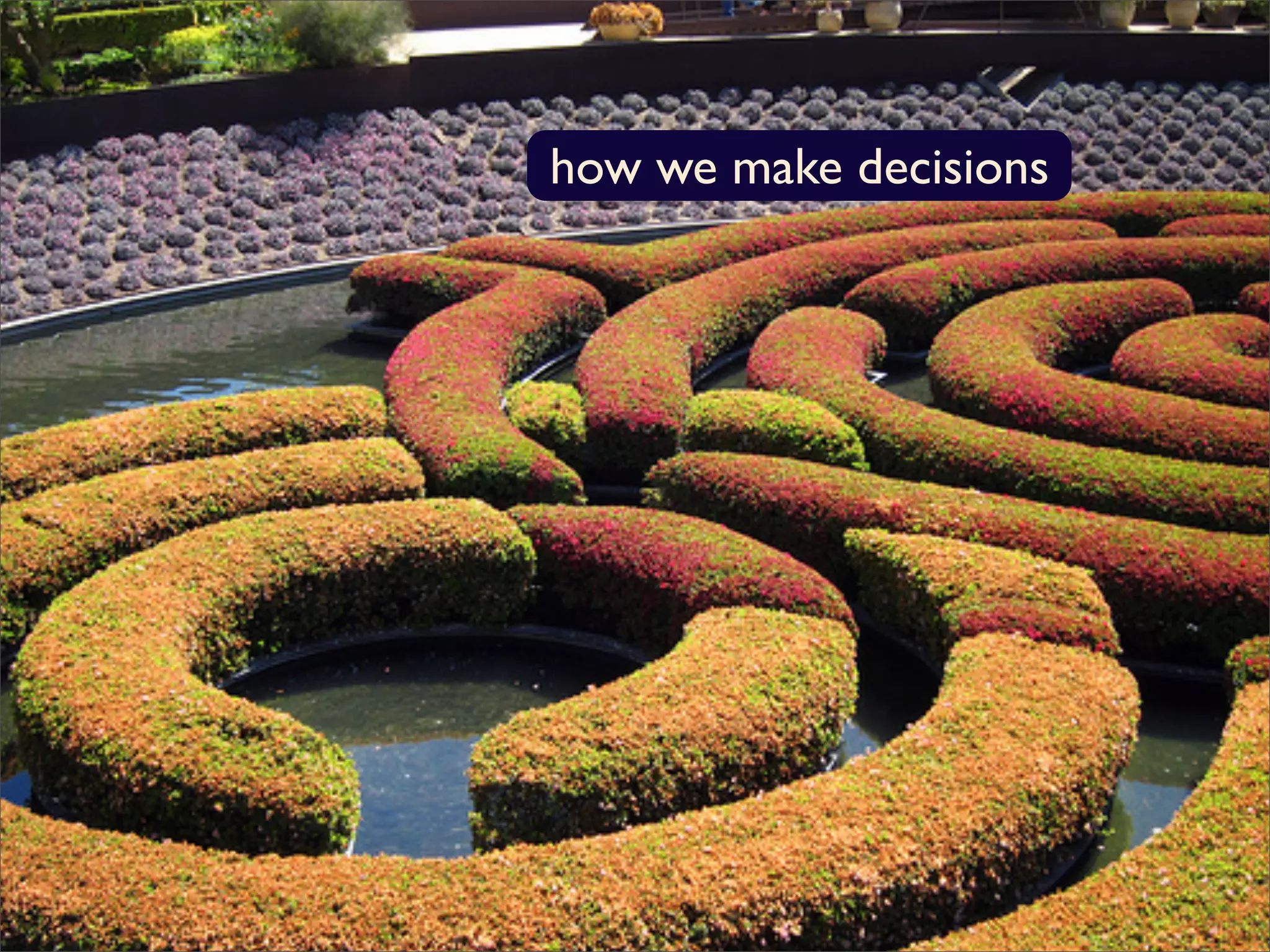 how we make decisions
 