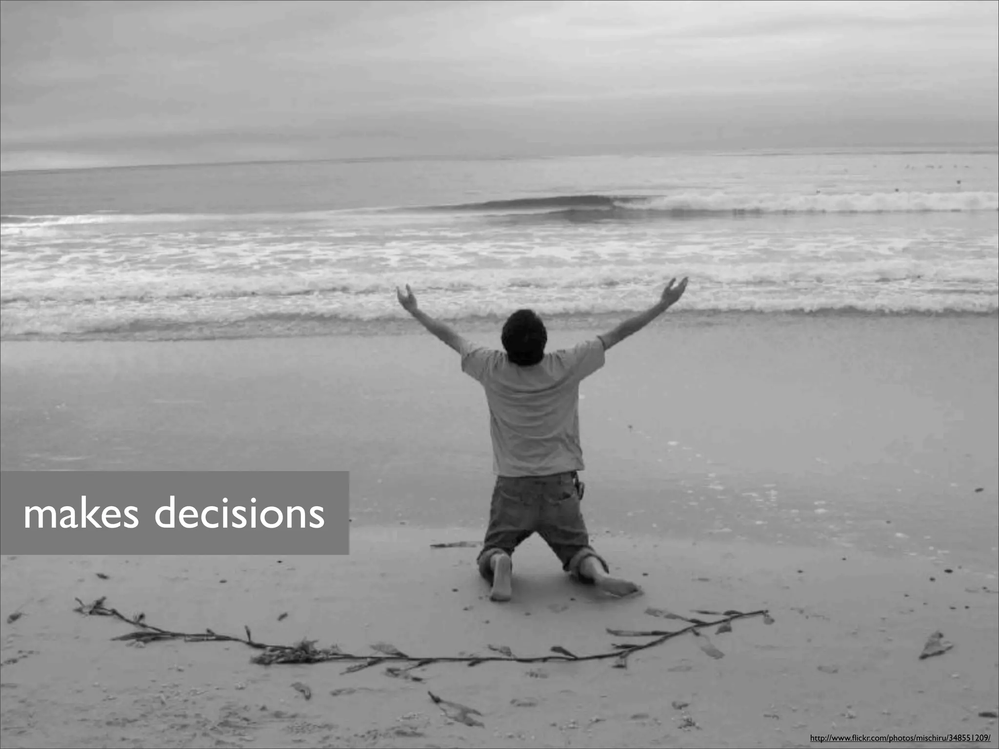 makes decisions



                  http://www.ﬂickr.com/photos/mischiru/348551209/
 