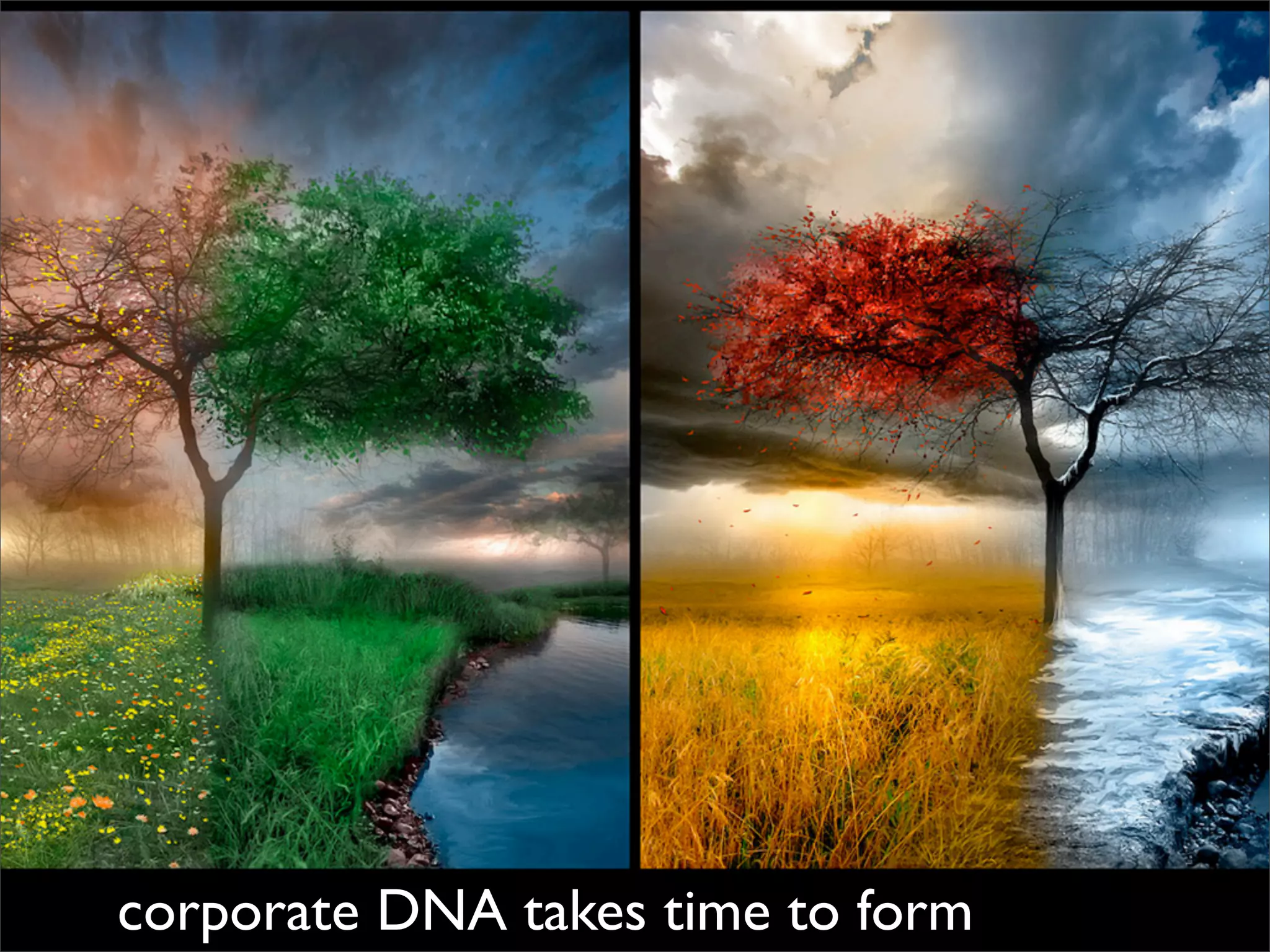 corporate DNA takes time to form
 