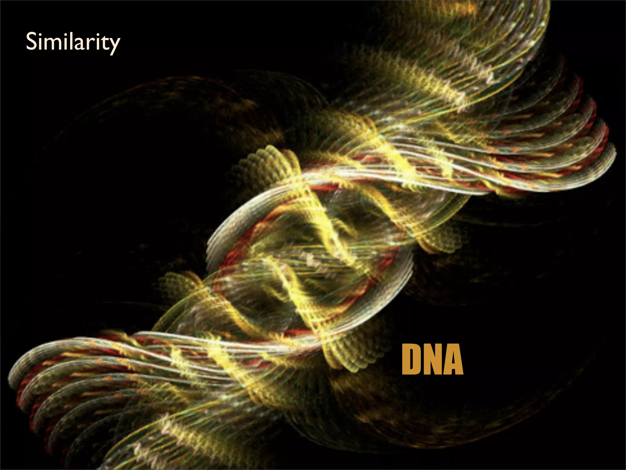 Similarity




             DNA
 