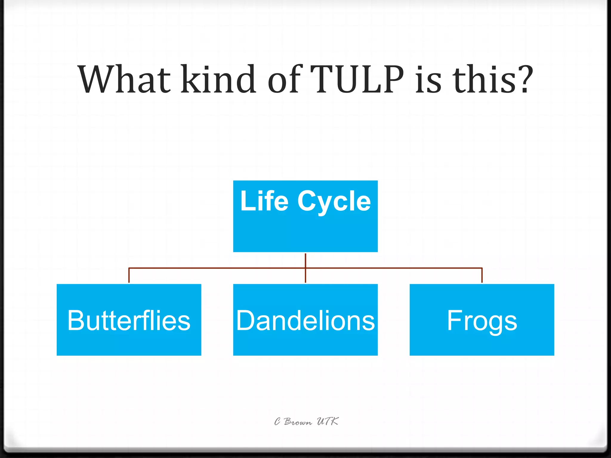 What kind of TULP is this?

              Life Cycle



Butterflies   Dandelions      Frogs


                C Brown UTK
 