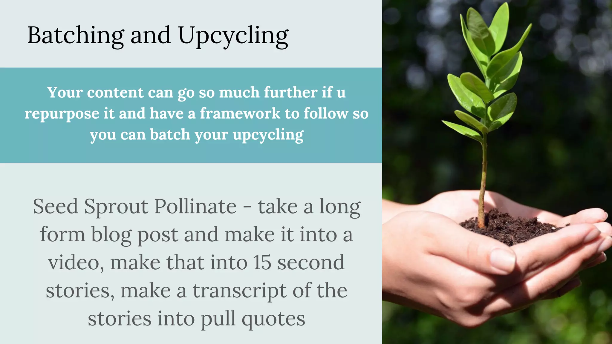 Batching and Upcycling
Your content can go so much further if u
repurpose it and have a framework to follow so
you can batch your upcycling
Seed Sprout Pollinate - take a long
form blog post and make it into a
video, make that into 15 second
stories, make a transcript of the
stories into pull quotes
 