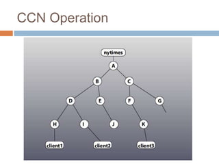 CCN Operation
 