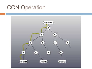 CCN Operation
 