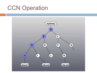 CCN Operation
 