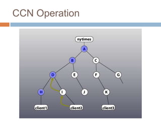 CCN Operation
 