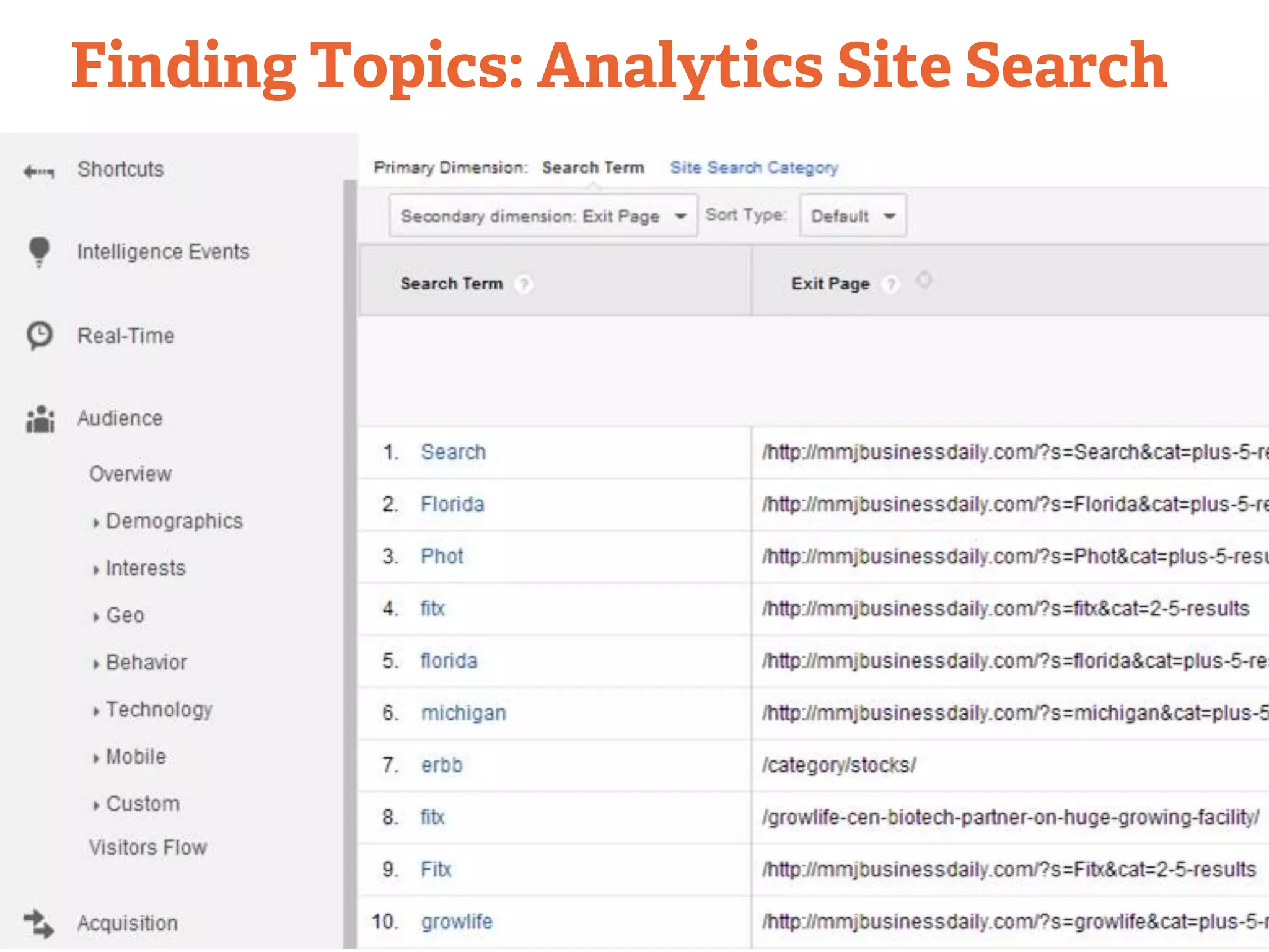 Finding Topics: Analytics Site Search 
 