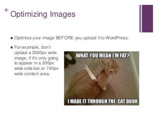 +
Optimizing Images
 Optimize your image BEFORE you upload it to WordPress.
 For example, don’t
upload a 2000px wide
image, if it’s only going
to appear in a 300px
wide side bar or 740px
wide content area.
 