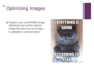+
Optimizing Images
 Plugins such as EWWW Image
Optimizer can further reduce
image file size once an image
is uploaded (automatically!)
 