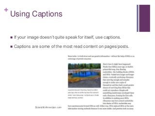 +
Using Captions
 If your image doesn’t quite speak for itself, use captions.
 Captions are some of the most read content on pages/posts.
ScientificAmerican.com
 