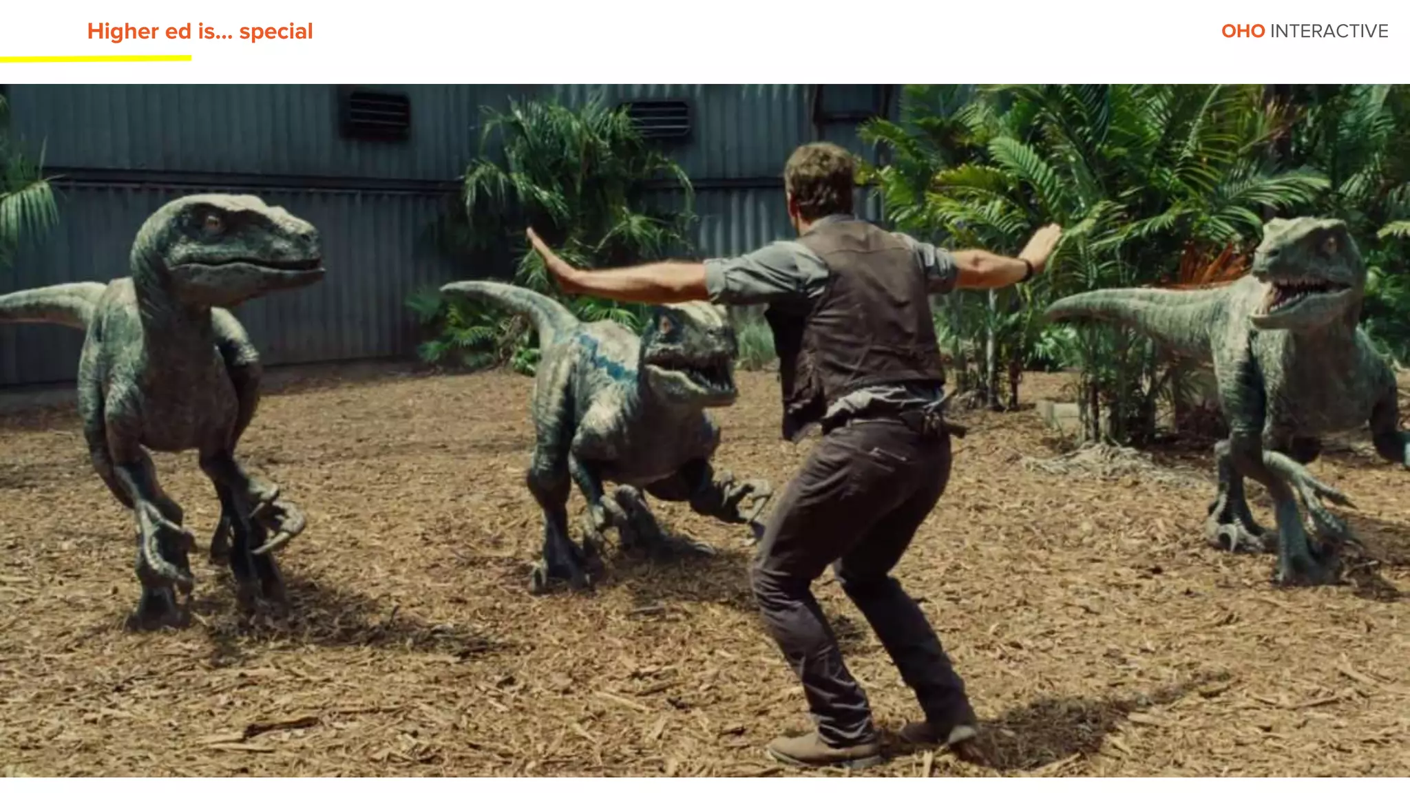 OHO INTERACTIVEHigher ed is… special
 