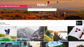 ALL FREE STOCK PHOTOS
 