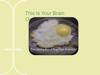 This Is Your Brain
On....STORIES

 