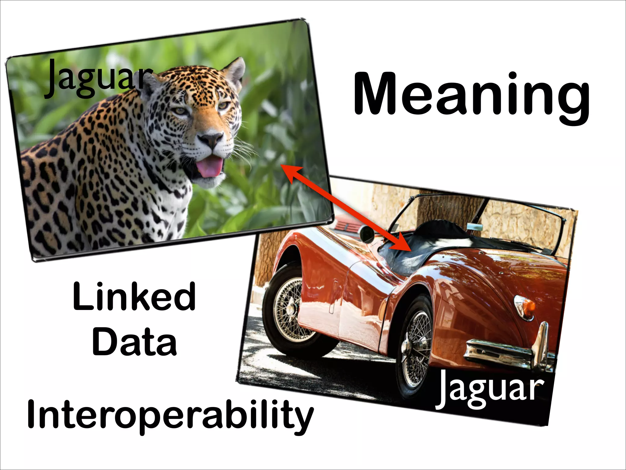 Jaguar
                   Meaning


  Linked
   Data
                     Jaguar
Interoperability
 