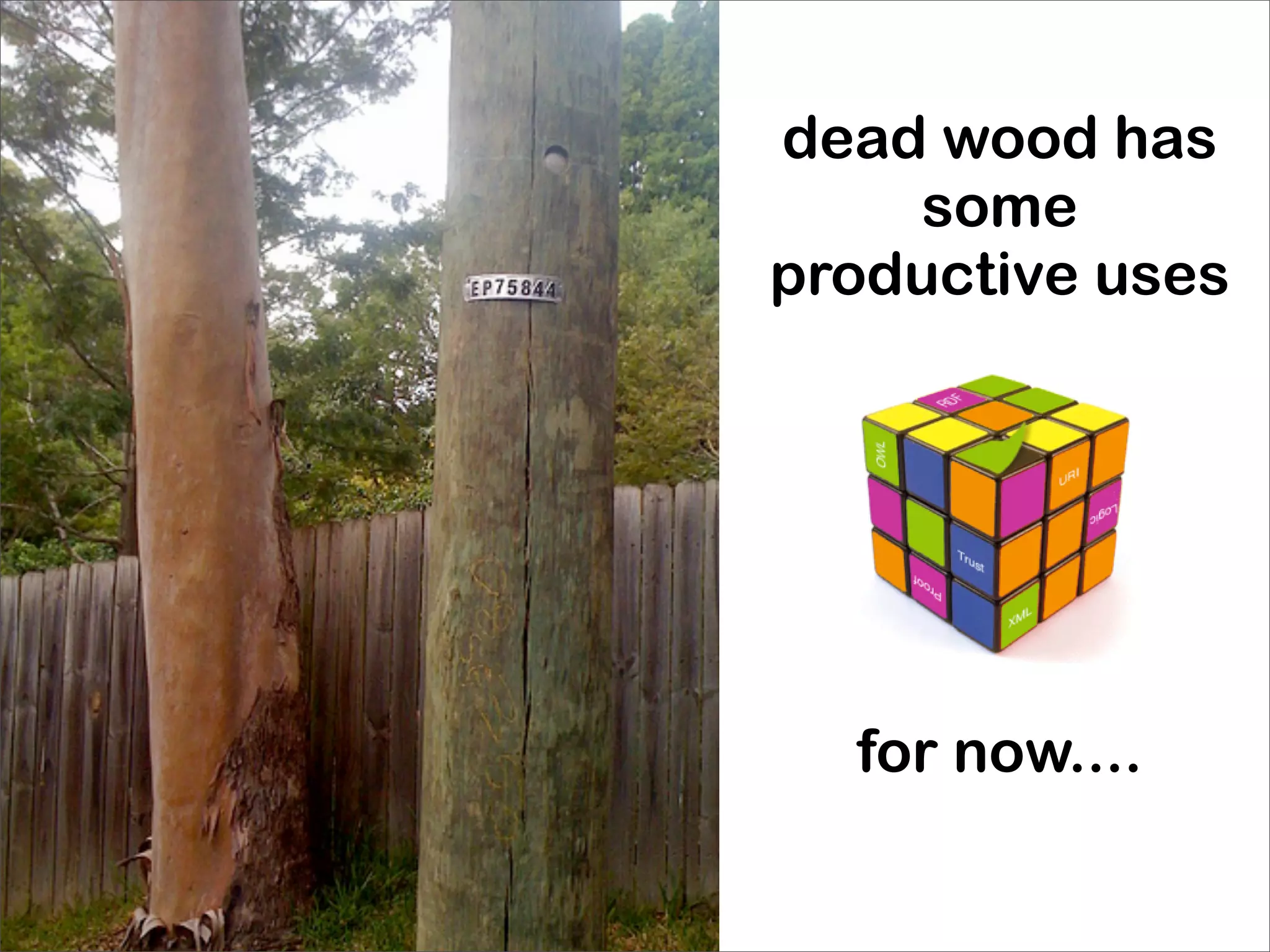 dead wood has
    some
productive uses




  for now....
 