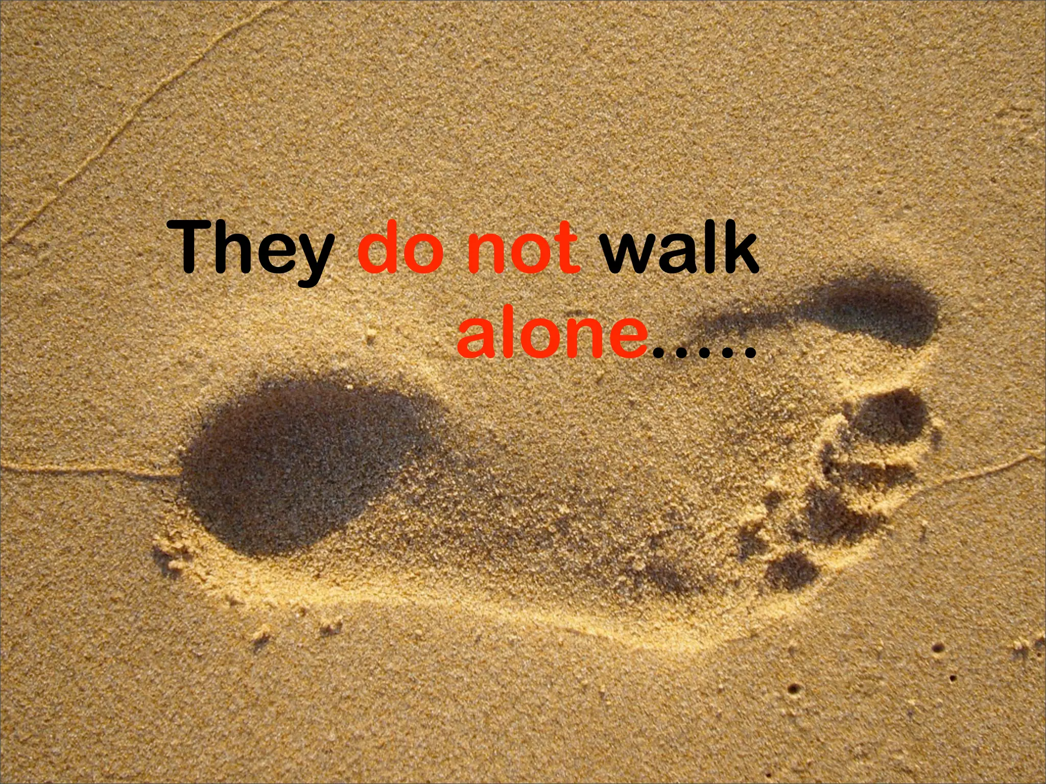 They do not walk
       alone.....
 