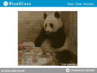 BLUEGLASS.CO.UK
 