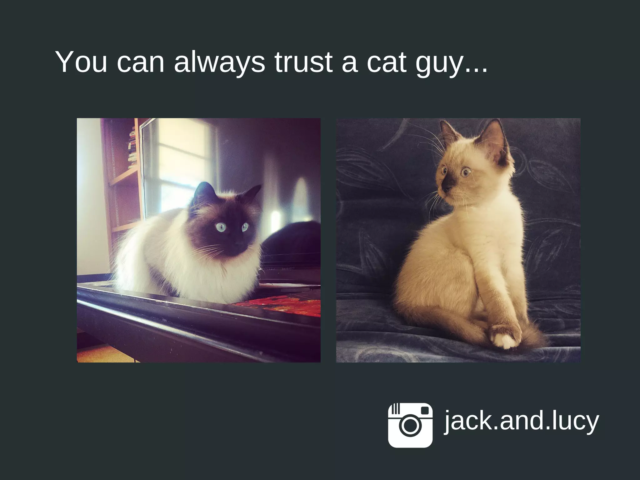jack.and.lucy
You can always trust a cat guy...
 