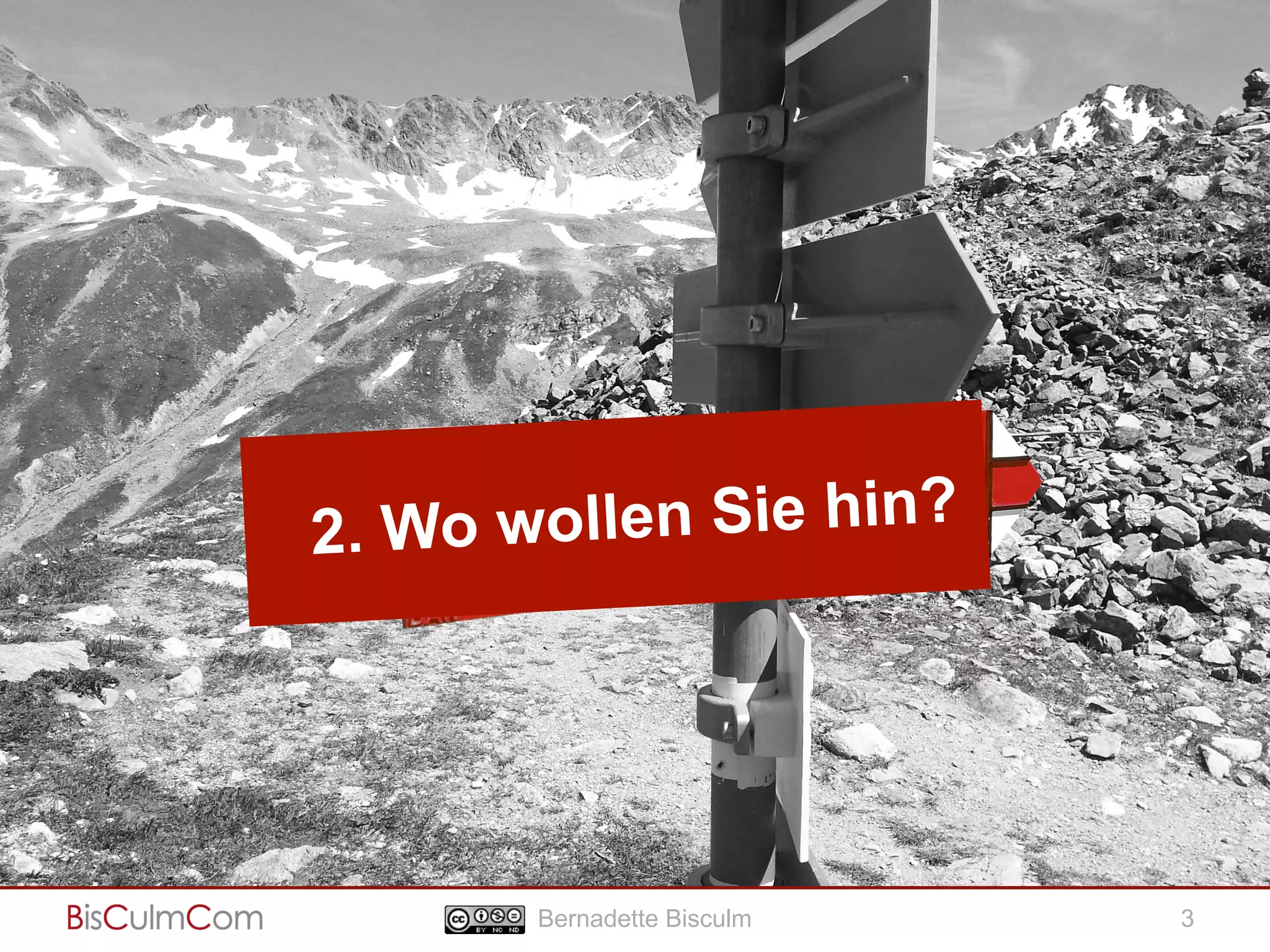 Strategische Hilfen 
2. Wo wollen Sie hin? 
Bernadette Bisculm 3 
 